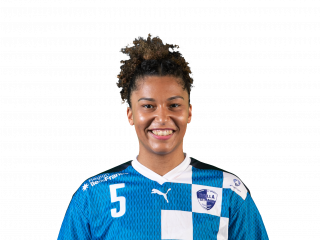 Kimberley Rutil