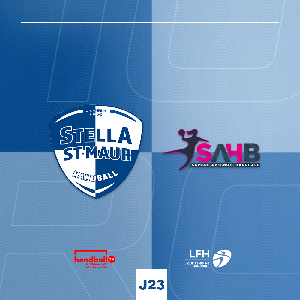 vap 85 lille Handball/D1 féminine (Préparation). Une bonne claque d'entrée pour la JDA  Dijon main image 1